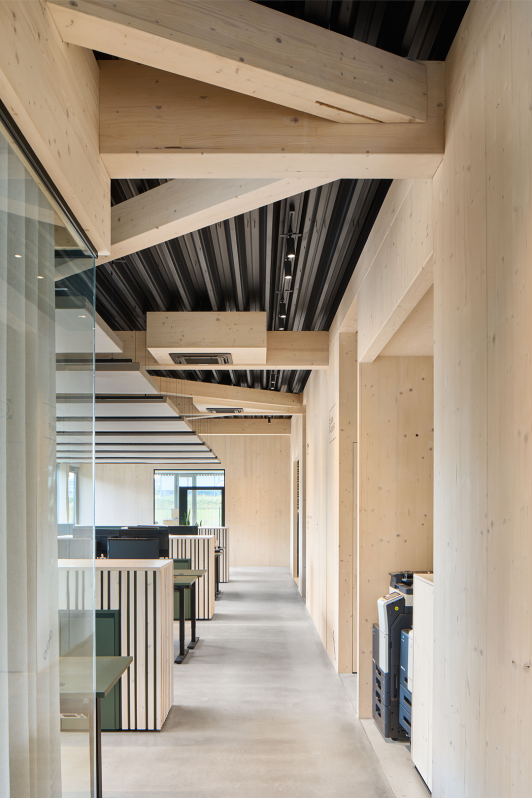 Innenraum der Bropack-Verwaltung mit sichtbaren Massivholzoberflächen, akustisch wirksamen Deckensegeln und strukturierten Arbeitsplätzen in heller, natürlicher Atmosphäre. Der Innenausbau orientiert sich gestalterisch an den Holzboxen, die Bropack produziert – geplant von arc+